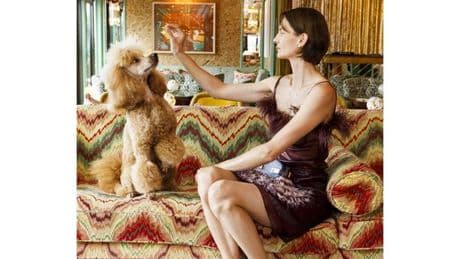 Un toutou bichonné au Royaume-Uni est-il vraiment plus heureux qu’un chien errant en Inde ?