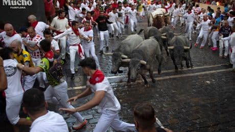 Fünf Verletzte bei Stierlauf in Pamplona