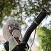 China records more cases of deadly chikungunya virus as country battles 'largest outbreak ever'