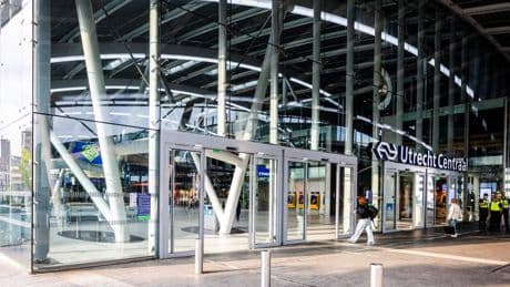 Geen treinen tussen Utrecht en Arnhem door boom op spoor