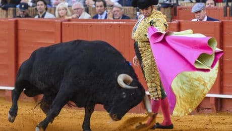 Morante revienta el cónclave de Sevilla y se proclama Papa del toreo