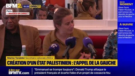 Gaza: "Oui, un génocide est en cours en Israël (...) mais il y a aussi un écocide", déclare Marine Tondelier