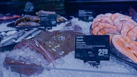 Maritime Wirtschaft | Appetit auf globalen Fisch