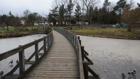 Charity’s show garden will be relocated to Cumbernauld park following appearance at Chelsea Flower Show