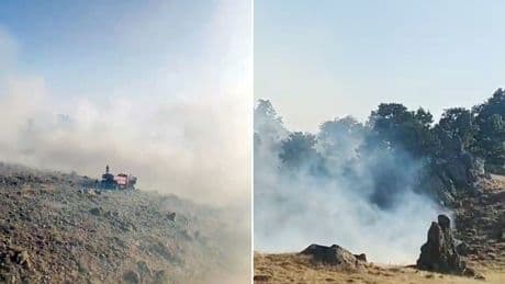 Aksaray'da orman yangını