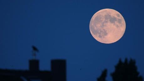 Raumfahrt: Nasa plant offenbar Atomreaktor auf dem Mond