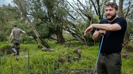 De beverpopulatie groeit en zorgt voor steeds meer overlast. Landelijk beverbeleid is nodig: ‘Wat wil de bever? Wat willen wij?’