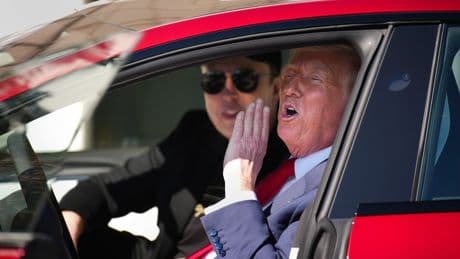 Elon Musk’s companies see reputations crumble as backlash from his work with DOGE hits his ventures