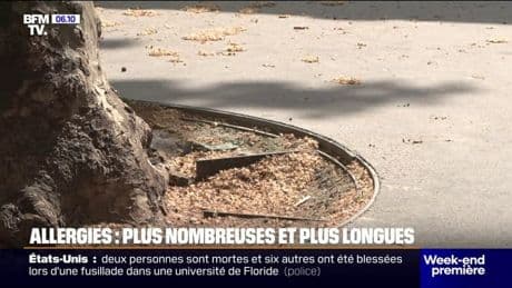 Allergies: plus nombreuses et plus longues en raison du réchauffement climatique