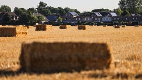 Finanzdefizite der Kommunen: Landkreistag fordert Kürzungen der Sozialleistungen