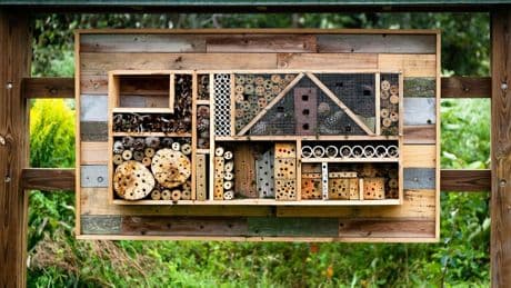 DIY: Insektenhotel bauen: So schaffen Sie neuen Lebensraum für Bienen & Co.