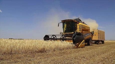 Tarımsal girdi fiyat endeksi açıklandı
