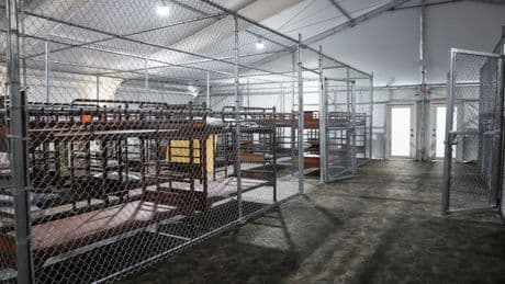 A 15-year-old boy with no criminal history ended up at Alligator Alcatraz after rush to fill facility
