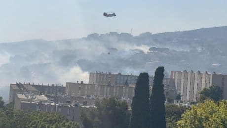 «Fixé», «maîtrisé», «circonscrit»... Quelles différences entre tous ces qualificatifs d’incendie ?