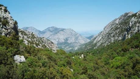 The jungle-covered country that is beautiful but almost entirely empty