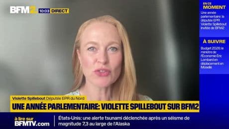 "Cette année parlementaire a été assez illisible", déplore la députée EPR du Nord, Violette Spillebout