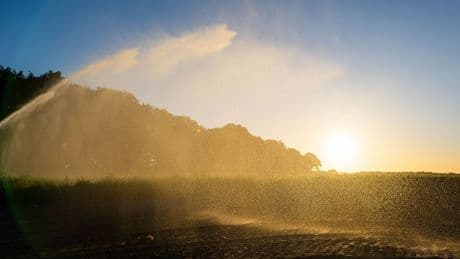 Wetter: Dürre in Niedersachsen hält weiter an