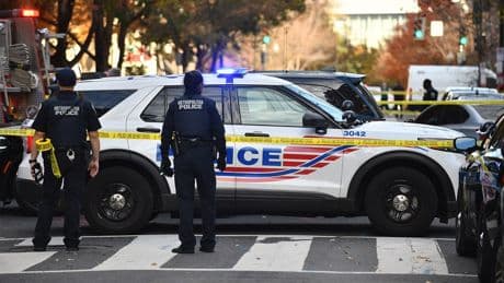 White House launches federal security blitz as president vows to end DC 'crime plague'