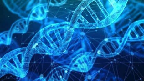 Tumore del colon, scoperte nuove cellule per fermare le metastasi. «Le natural killer bloccano la diffusione», lo studio di Roma