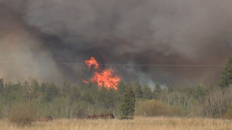 Growing concerns over wildfires in Alberta fuelled by soaring temperatures and gusting winds