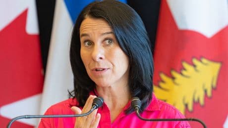 Montreal mayor wants Quebec government to appoint a homelessness minister