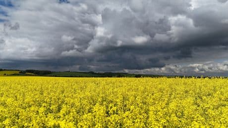 Wetter: Wolken, Wind und Schauer in Thüringen