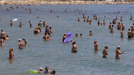 Cremas en el mar