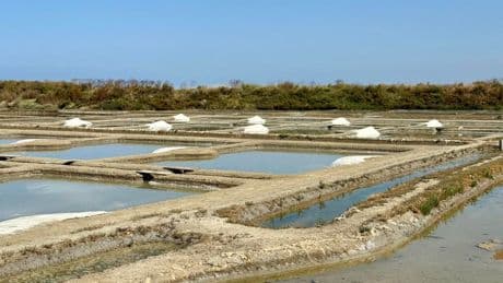 From Salt Marsh To Table: Homemade Butter Studded With Fleur De Sel