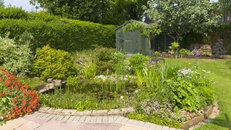 Gartenteich richtig anlegen: 5 Tipps, die jeder Teichbesitzer kennen sollte