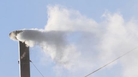 Holy white smoke, the Catholic Church has a new pope!
