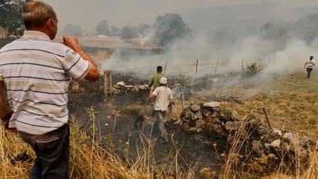 L’Espagne en proie à de violents incendies