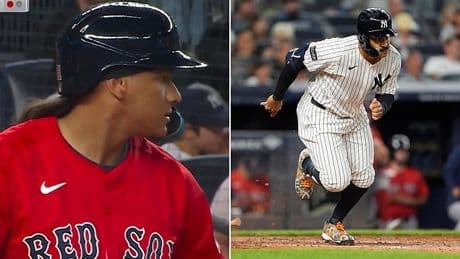 Yankees clash against Red Sox suffers bizarre delay as wild animal invades field