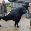 Jeremy Clarkson jokes about fears he's raised a 'transgender pig' and spent £5,500 on a 'gay bull' in the new series of Clarkson's Farm