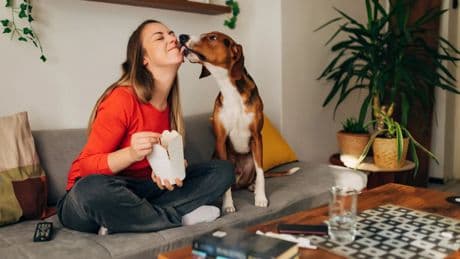Los perros, un aliado inesperado en la lucha contra el linfoma y el cáncer