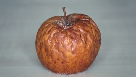 Apfel mit Makel? Welche Flecken Gefahr bedeuten – und welche genießbar sind