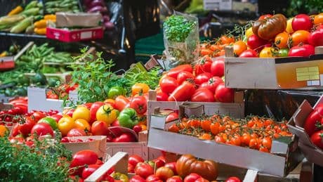 Warning over ‘contaminated’ tomatoes sold across UK