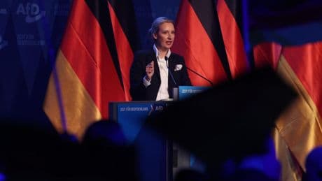 Meinung: So wird die AfD ganz bestimmt nicht kleiner