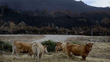 El verano pasa una factura climática a España de más de 30.000 millones por  condiciones meteorológicas extremas