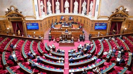 Police: Sénat et gouvernement s'opposent à une réforme des contrôles d'identité