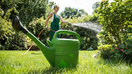 Spar-Potenzial: Warum es sich lohnt, Regenwasser zu sammeln