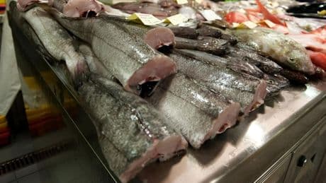 Quién decide el pescado que se come en España: por qué los consumidores no pueden elegir en la pescadería