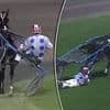 Jockey is hailed as a hero for saving her horse with an incredibly brave act that saw her get dragged around a racetrack