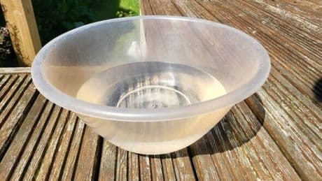 UK households urged to leave bowl of water on driveway this week