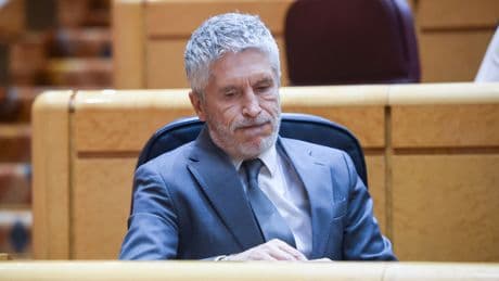 Marlaska premia al comisario del caso Nacho Cano con la jefatura de la Policía Judicial de Madrid