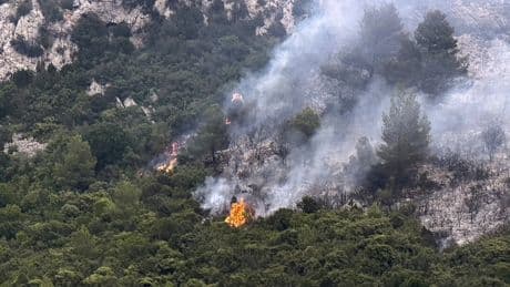 Liveticker Hessen & Frankfurt: Hessische Feuerwehrleute unterstützen Löscharbeiten in Südfrankreich