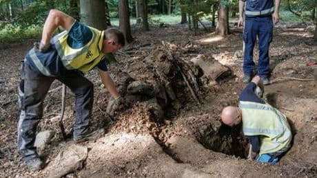 Bundeswehr: Soldaten beschädigen jungsteinzeitlichen Grabhügel in Schleswig-Holstein bei Übung