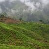 Dozens of soldiers seized in Colombian mountains