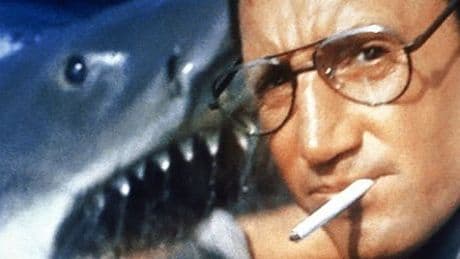 »Der weiße Hai« von Steven Spielberg: SPIEGEL-Mitarbeitende berichten von ihrem ersten Mal