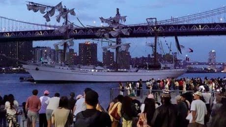 New York: Segelschulschiff rammt Brooklyn Bridge – zwei Menschen sterben