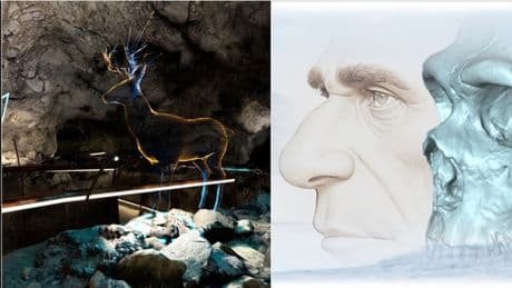 Nuovo studio italiano sui Neanderthal: svelati i segreti della morfologia cranio-facciale